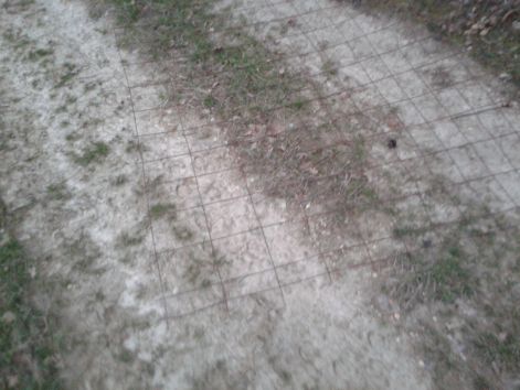 20160402_193053.jpg