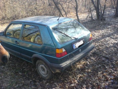 gyanus_auto.jpg gyanus_auto.jpg