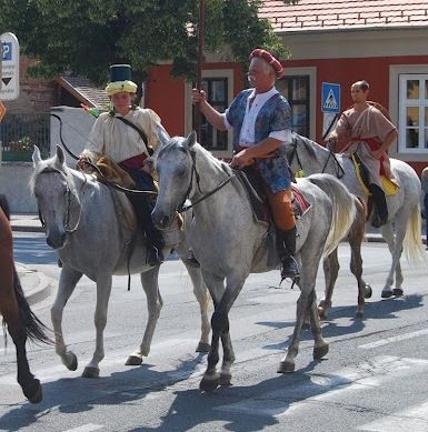 torok_11.jpg